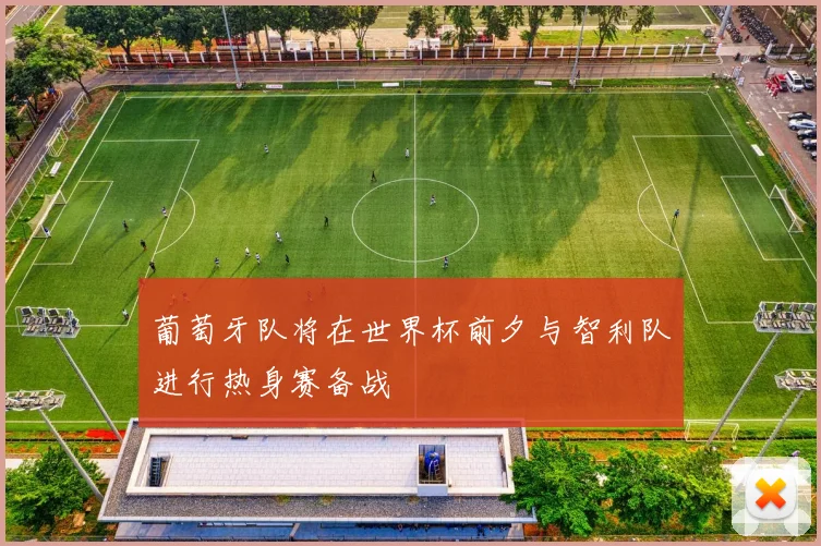葡萄牙队将在世界杯前夕与智利队进行热身赛备战